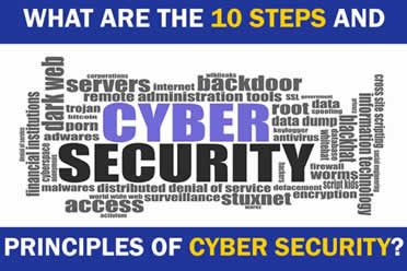 What Are The 10 Steps And Principles Of Cyber Security? – Cyber ...